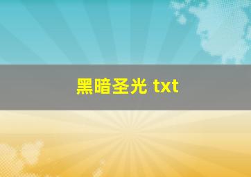 黑暗圣光 txt